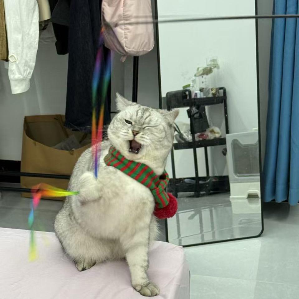 莱恒科技～陈伟恒