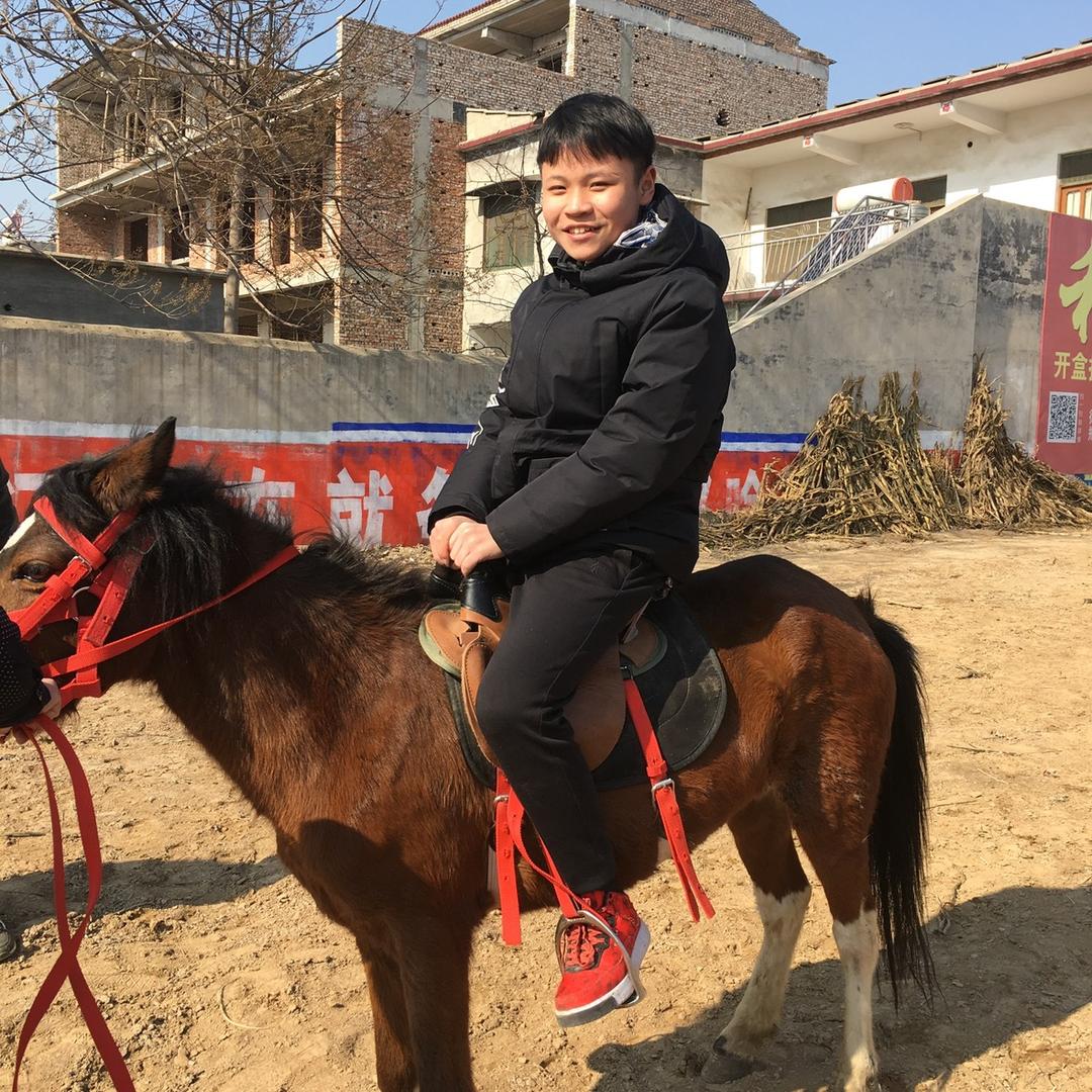矮马珍禽养殖场