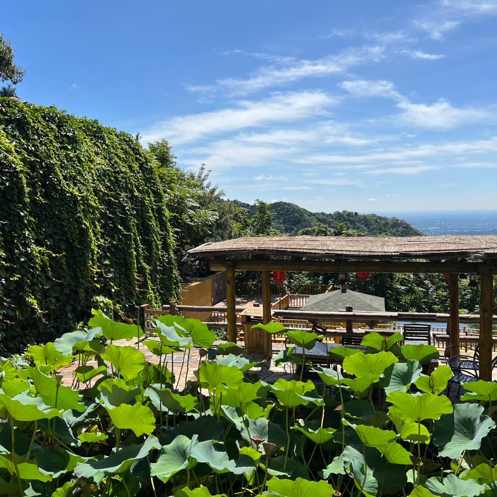 无风无雨无晴...