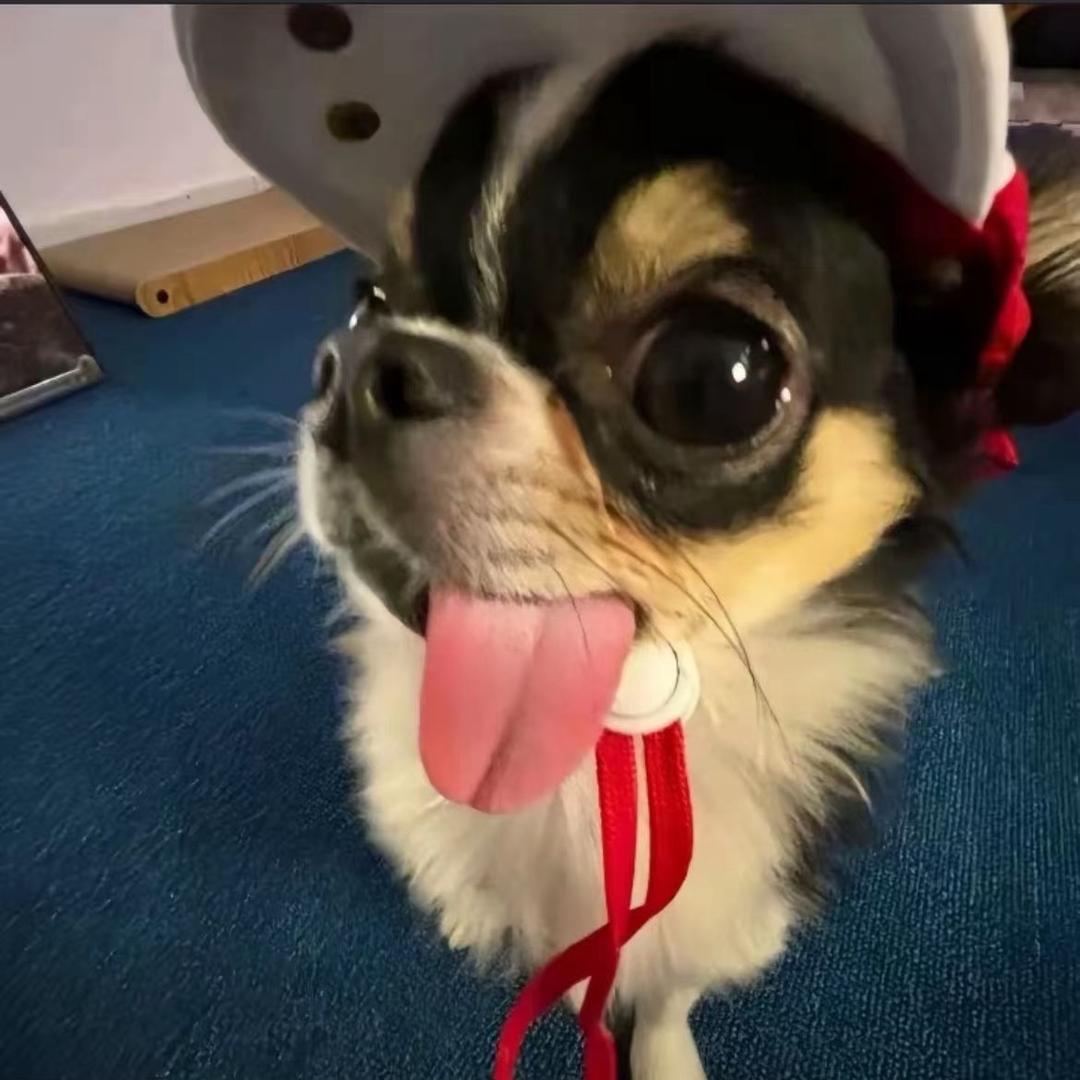 我不叫藕汁饼