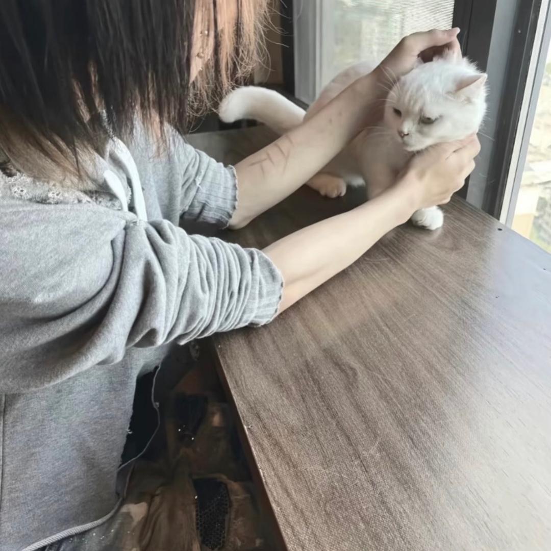少说慎行