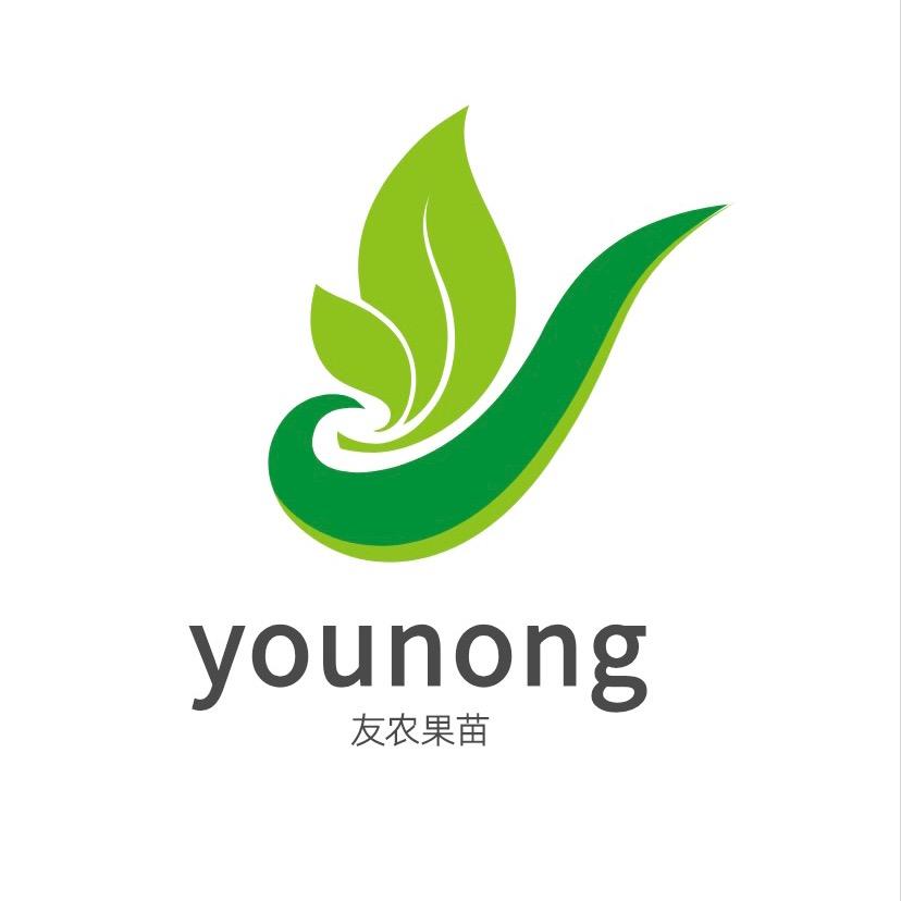 泰玛友农果苗