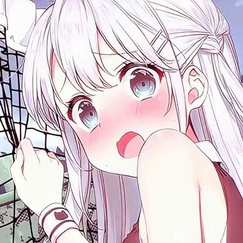 小猪崽汁🐷