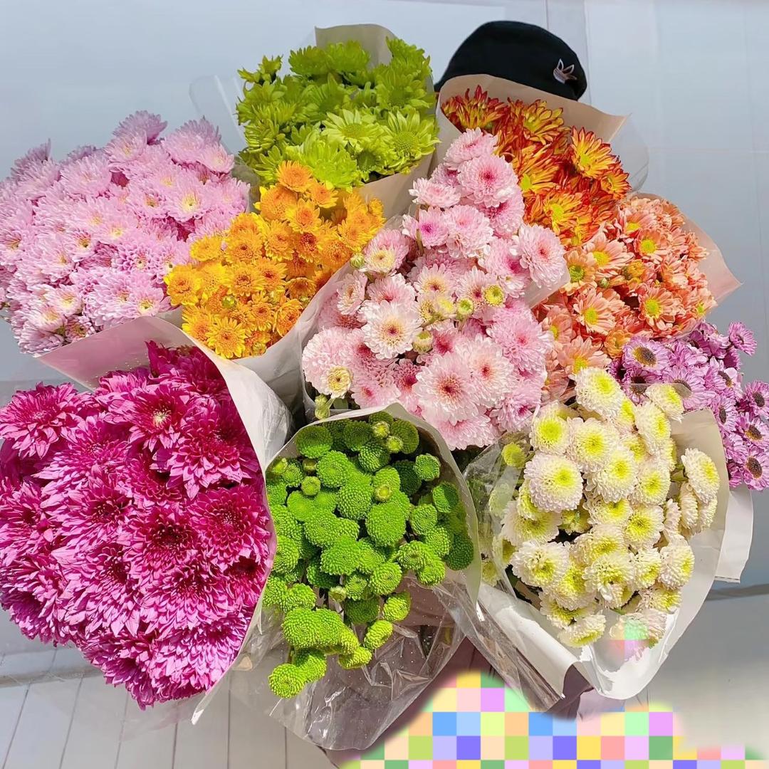 花花花的世界