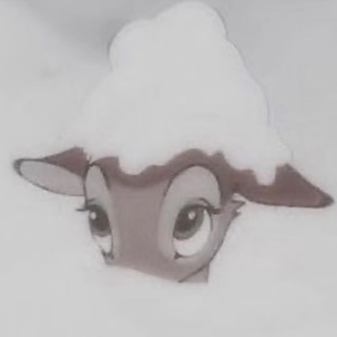 孔孔