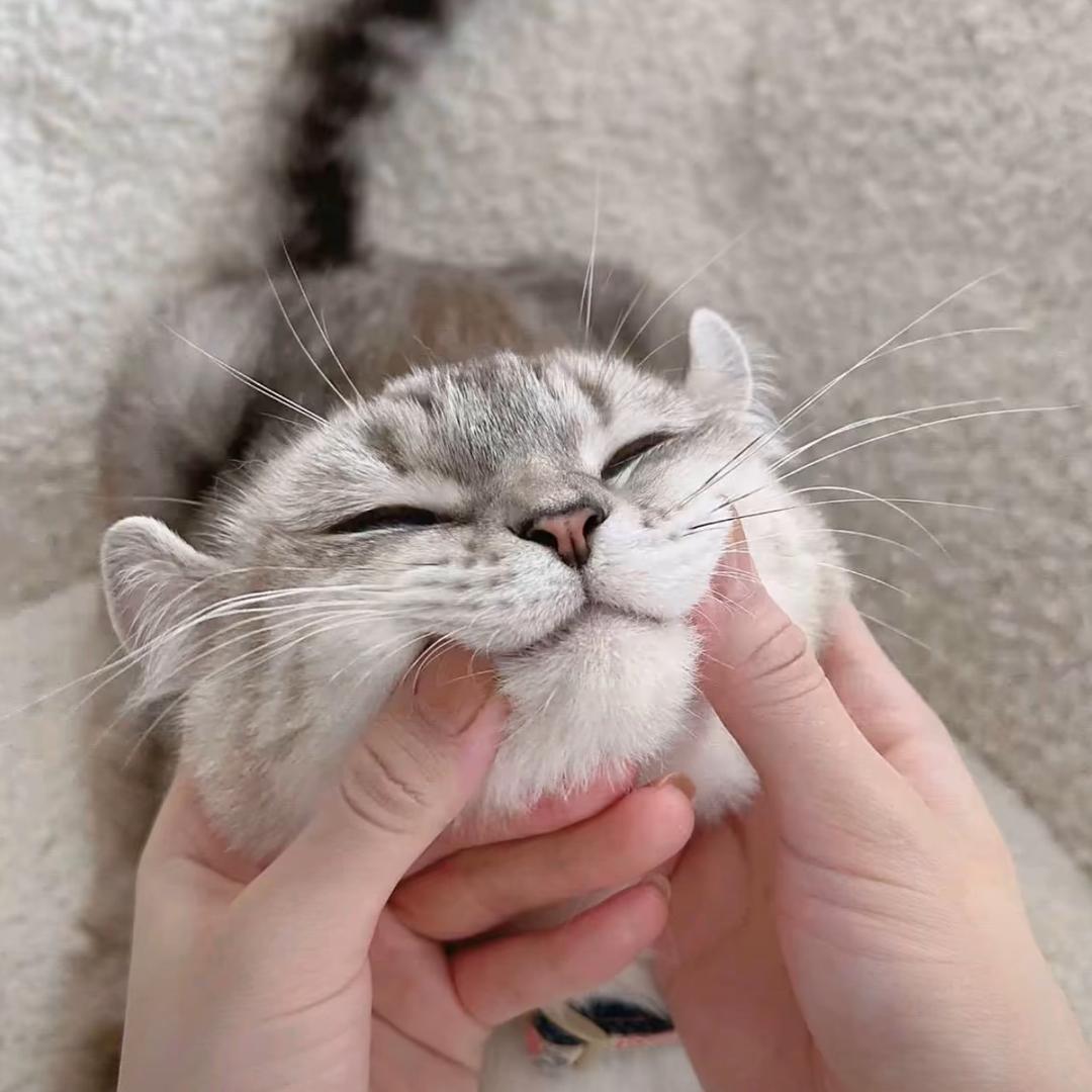 ㅤㅤㅤㅤㅤㅤ别离