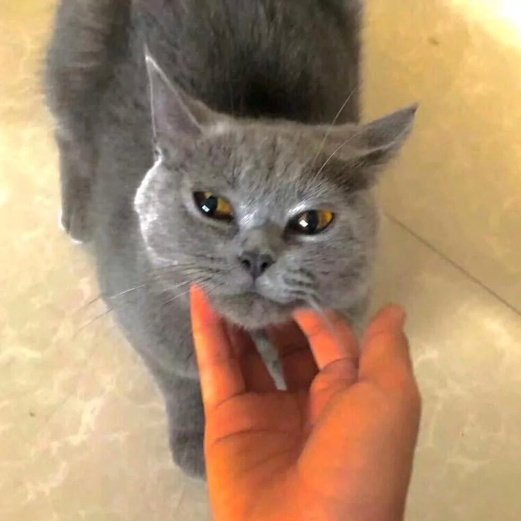 翻斗突破胡图图