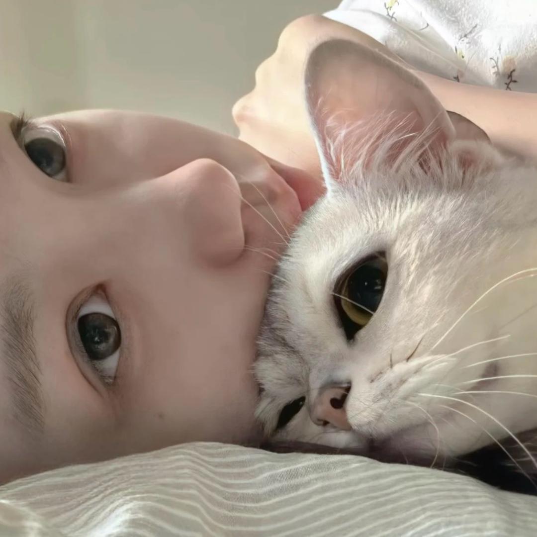不吃鱼-）