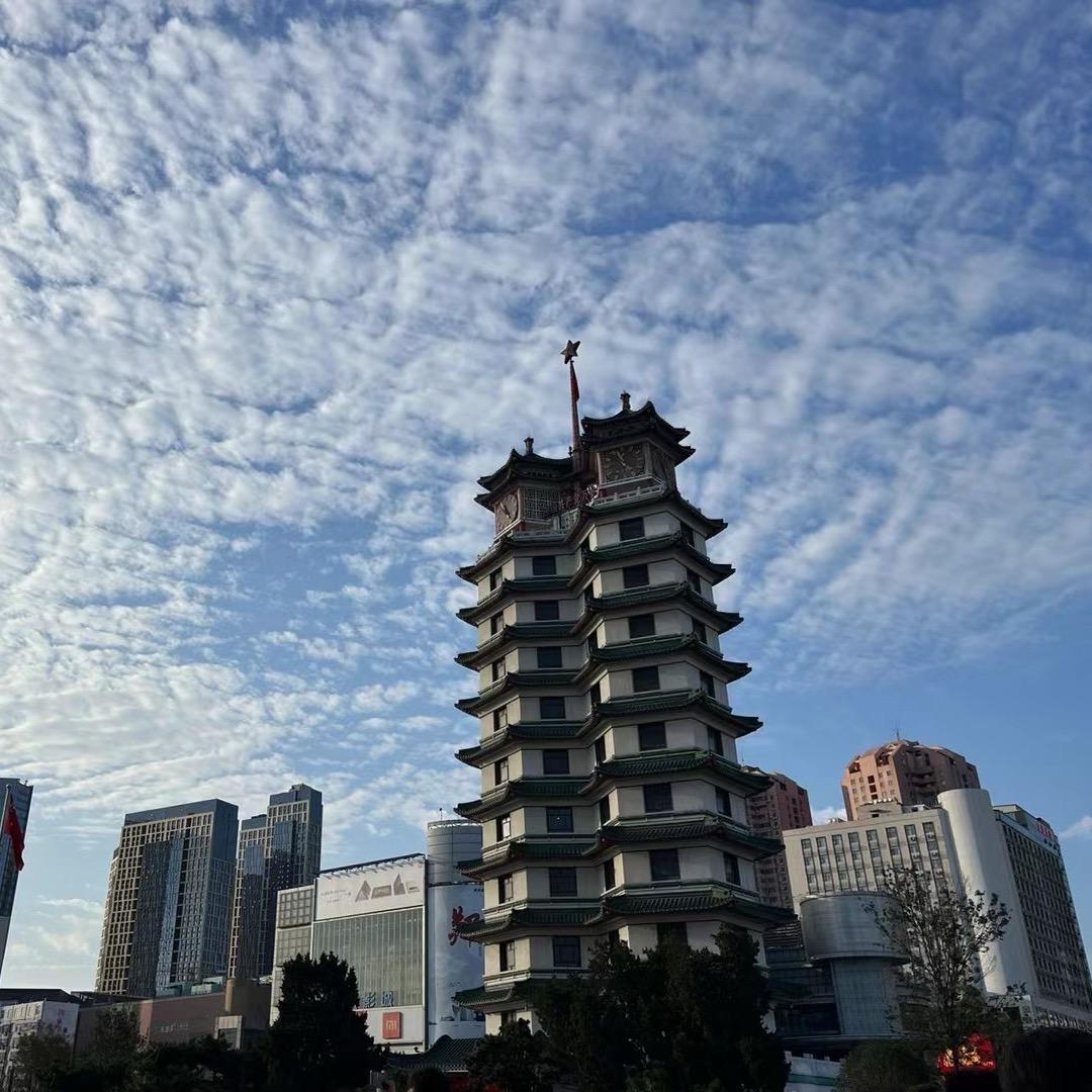 小鱼游郑州