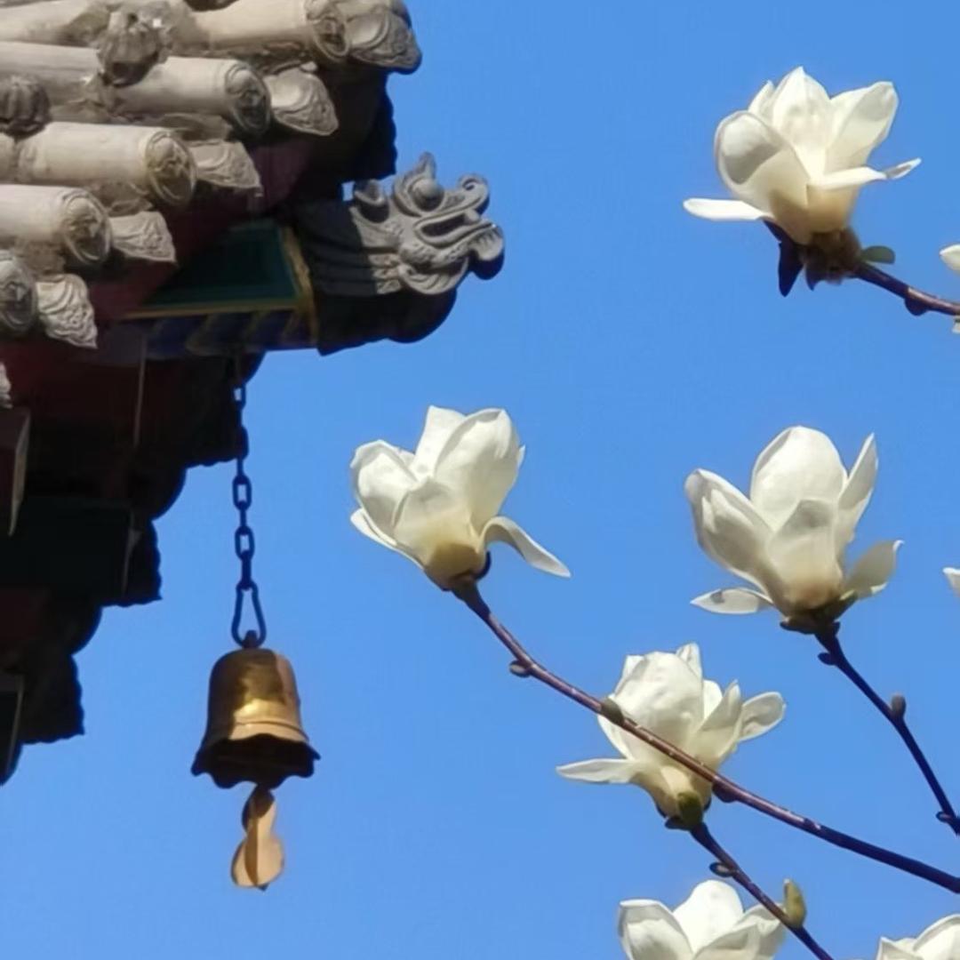 ℋღ᭄🍒清欢᭄💞࿐