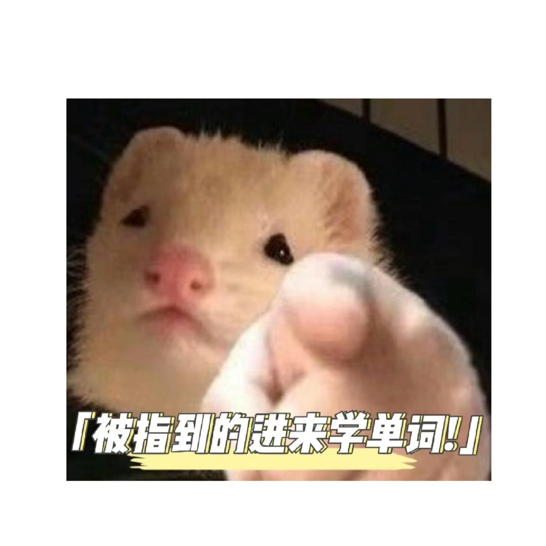 小佳学姐背单词