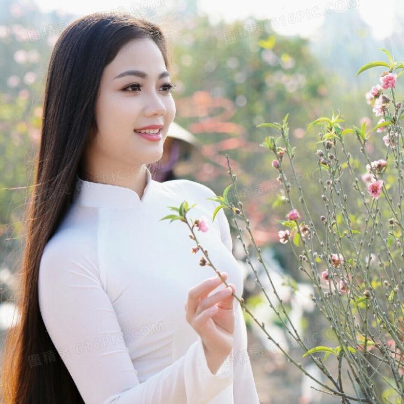 魅力不朽—鹿酒