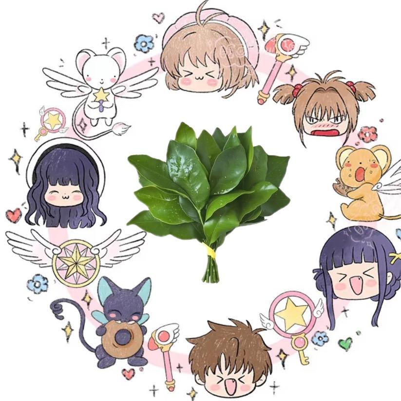 那好吧