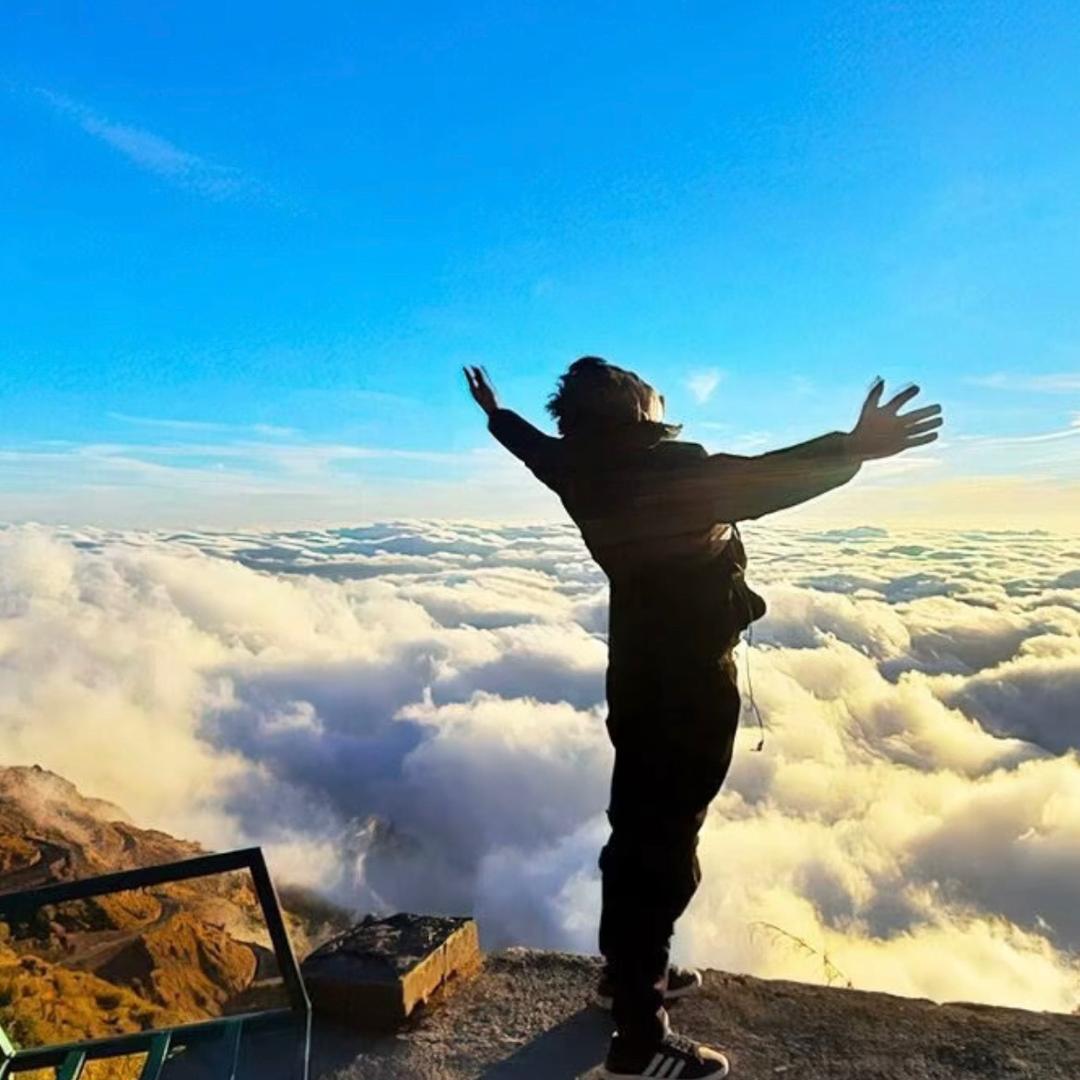锦李