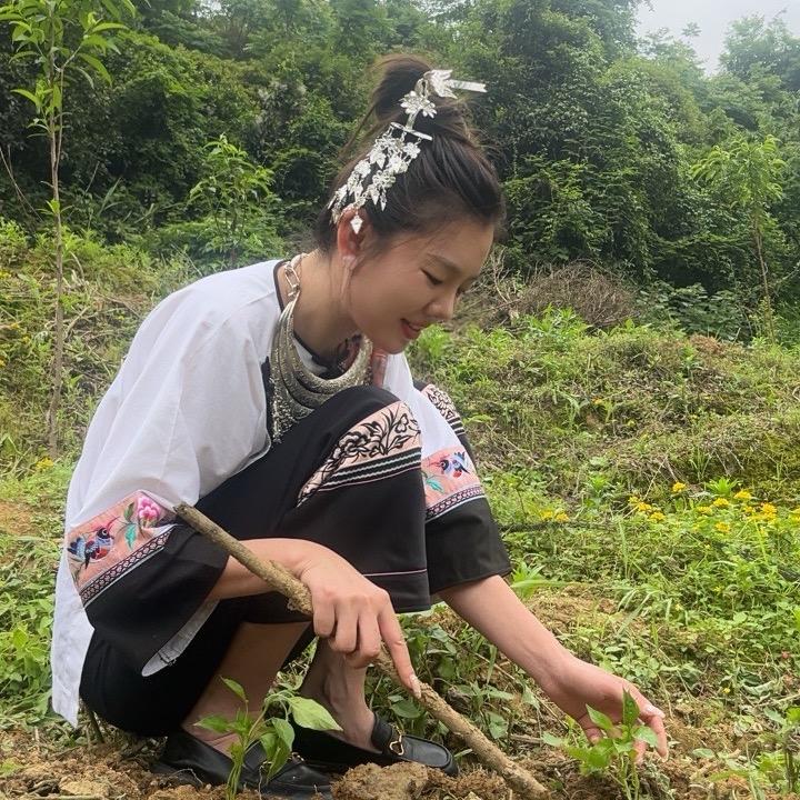 秀秀