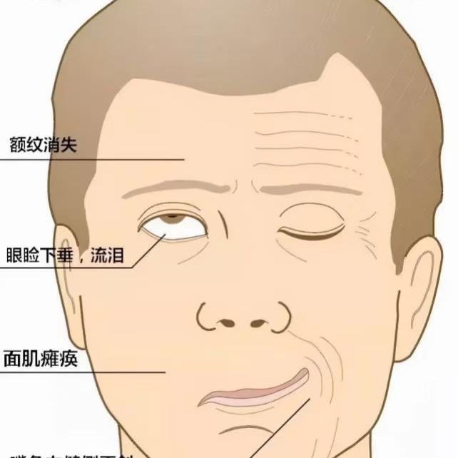 成都老师傅