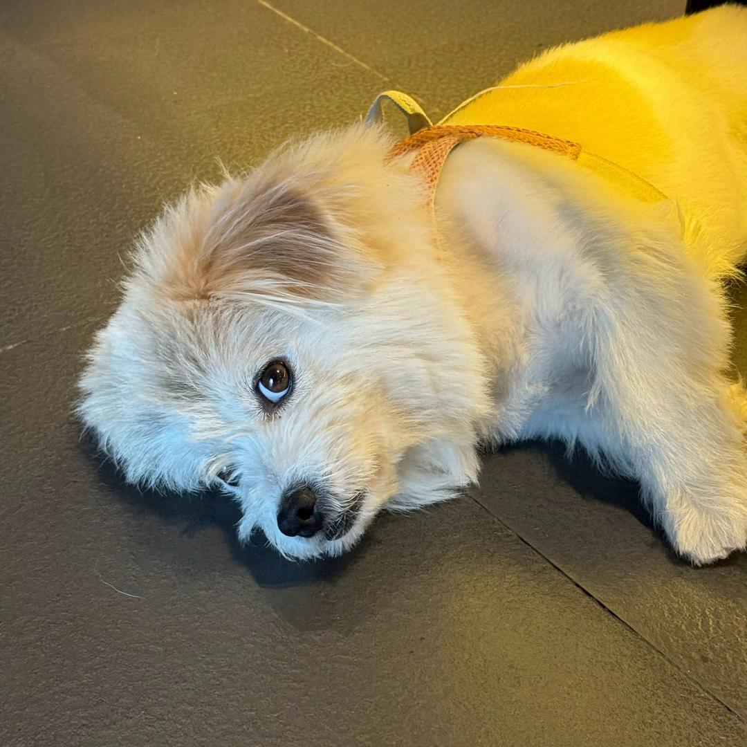SONG🐾