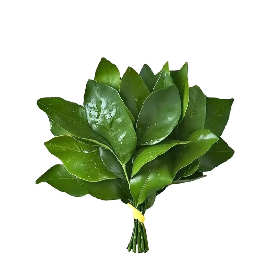 伊伊✨