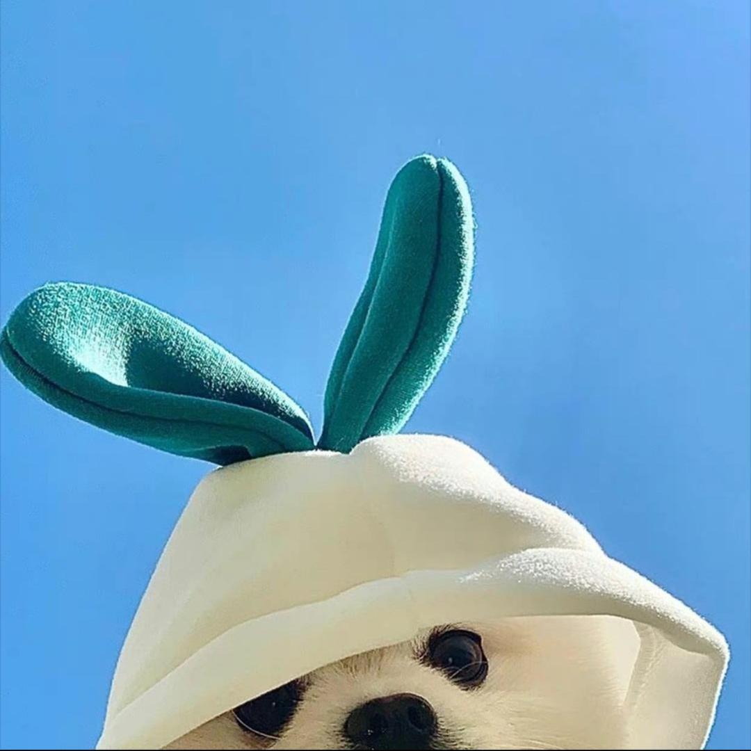 我不肯吃