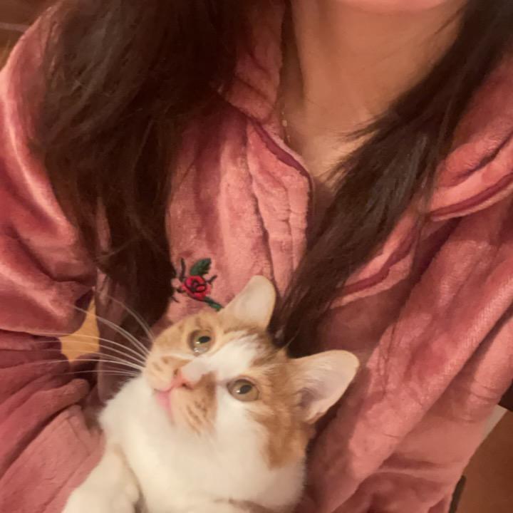 请帮我留意我的猫🇨🇳