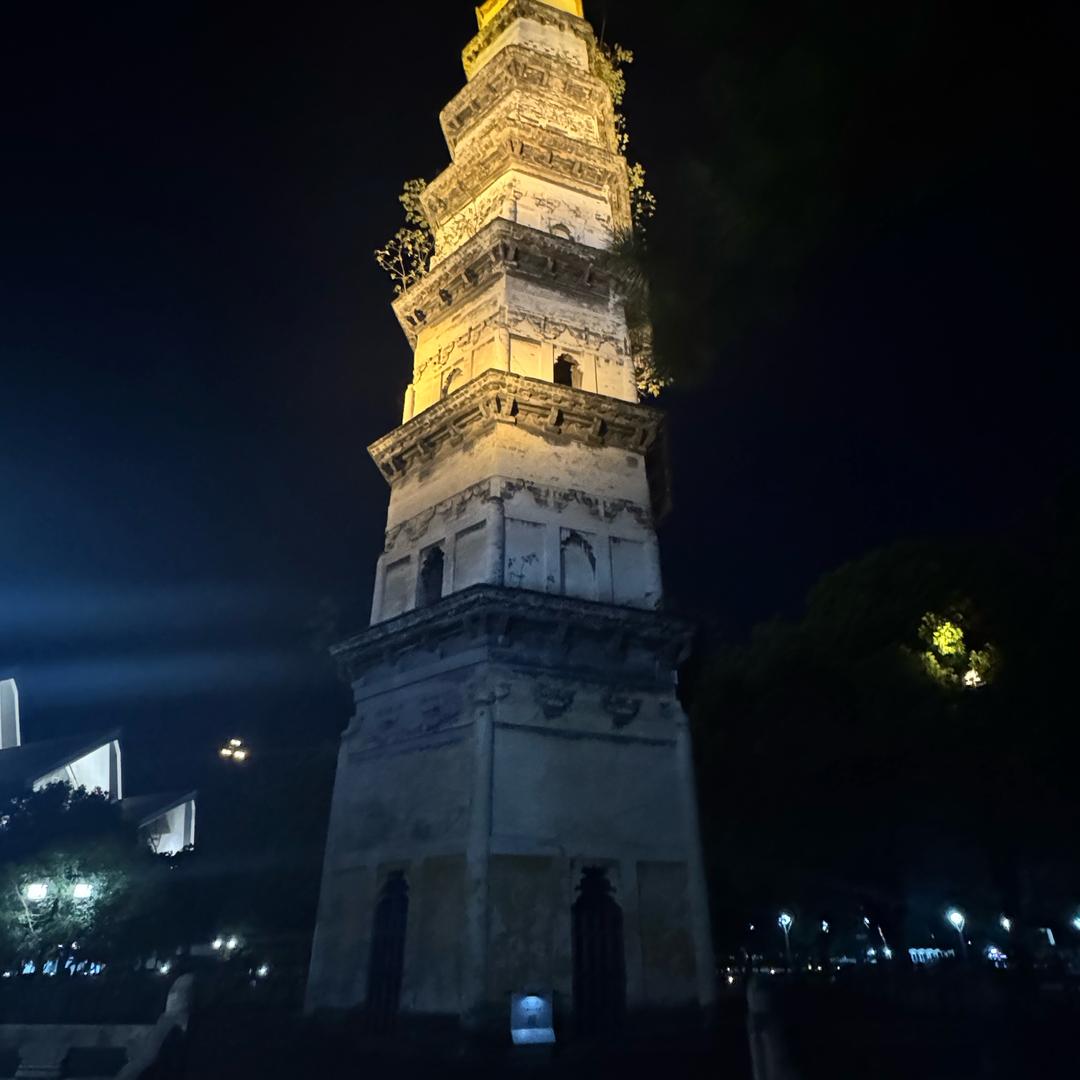 东海冲浪手