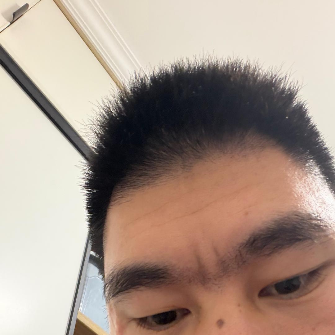 下水道的美人鱼