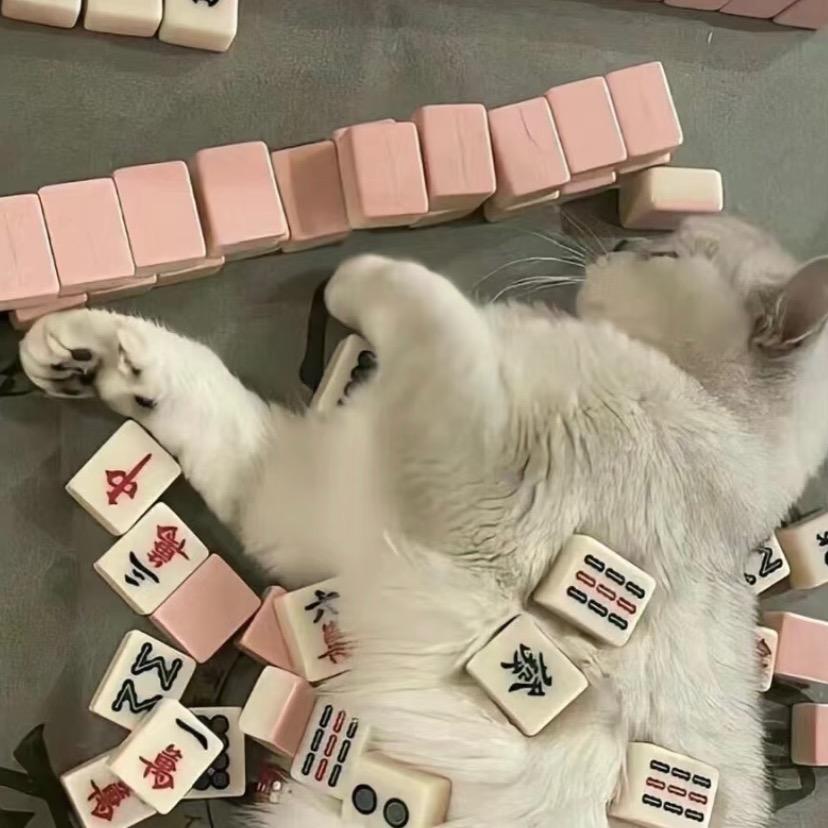 酷酷数码
