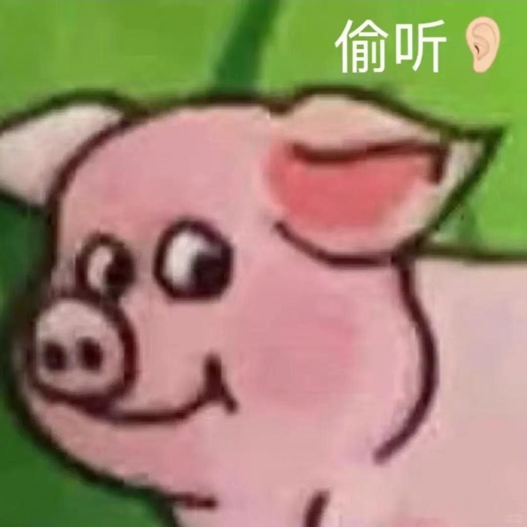 宝藏龙猪🐷