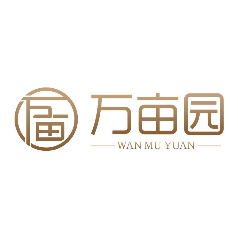 wmy1919