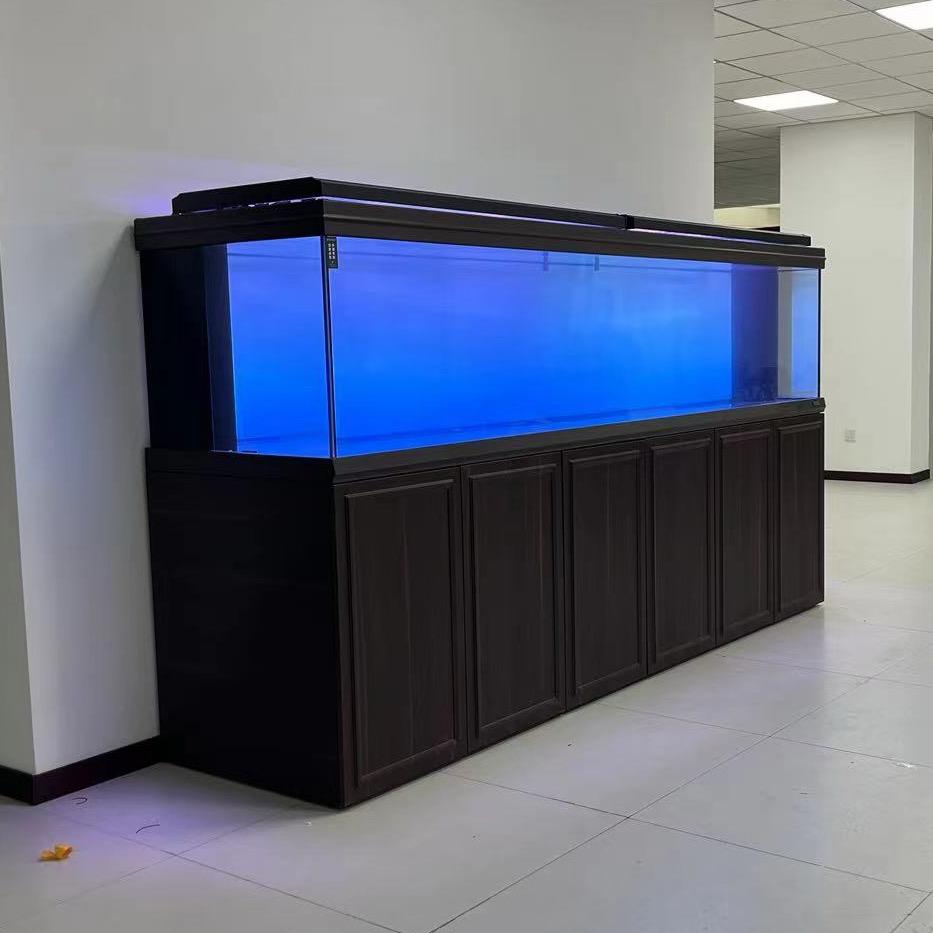 水族圈的老实人