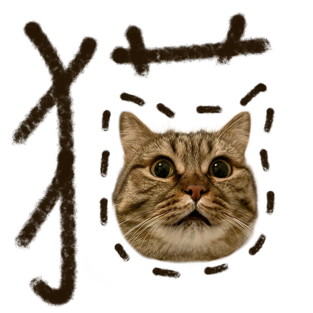 钱钱大王