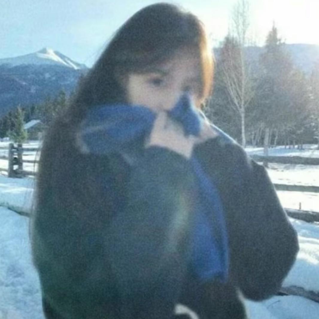 理木造型官方号