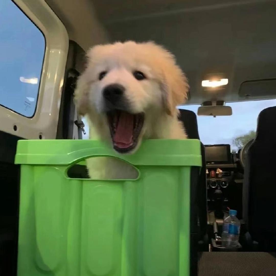 晴天雨（主页取图）