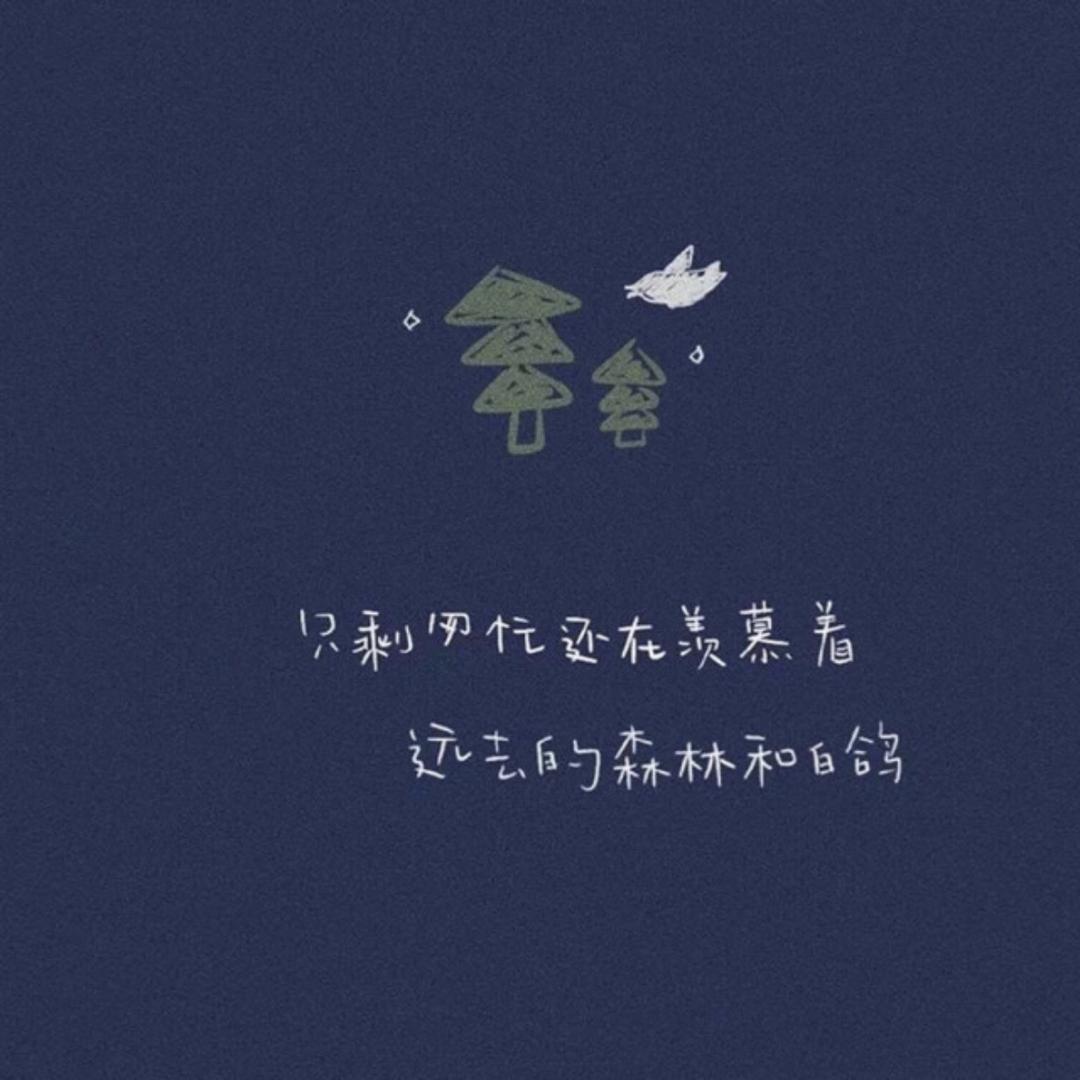 在线暴躁