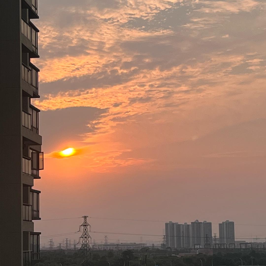 春天的花🌸