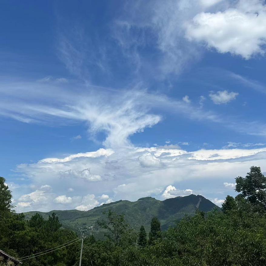 烫染师57号