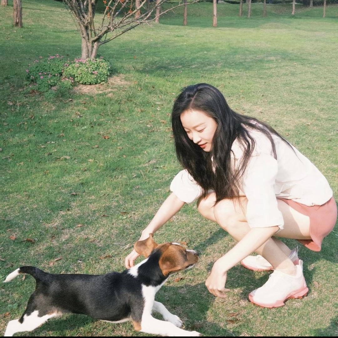 犬夜叉烧包