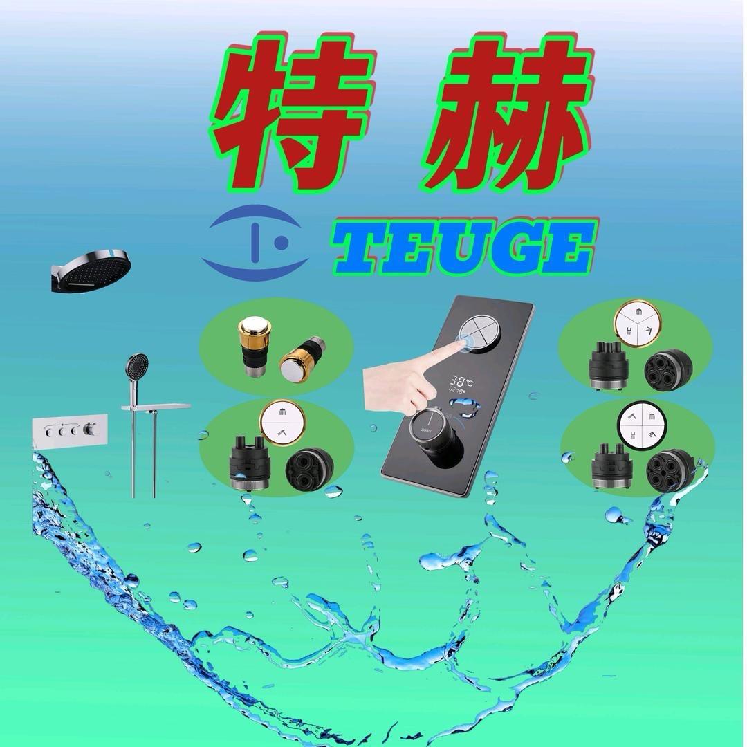 特赫阀芯.跃博阀芯.瀑布飞雨水嘴配件