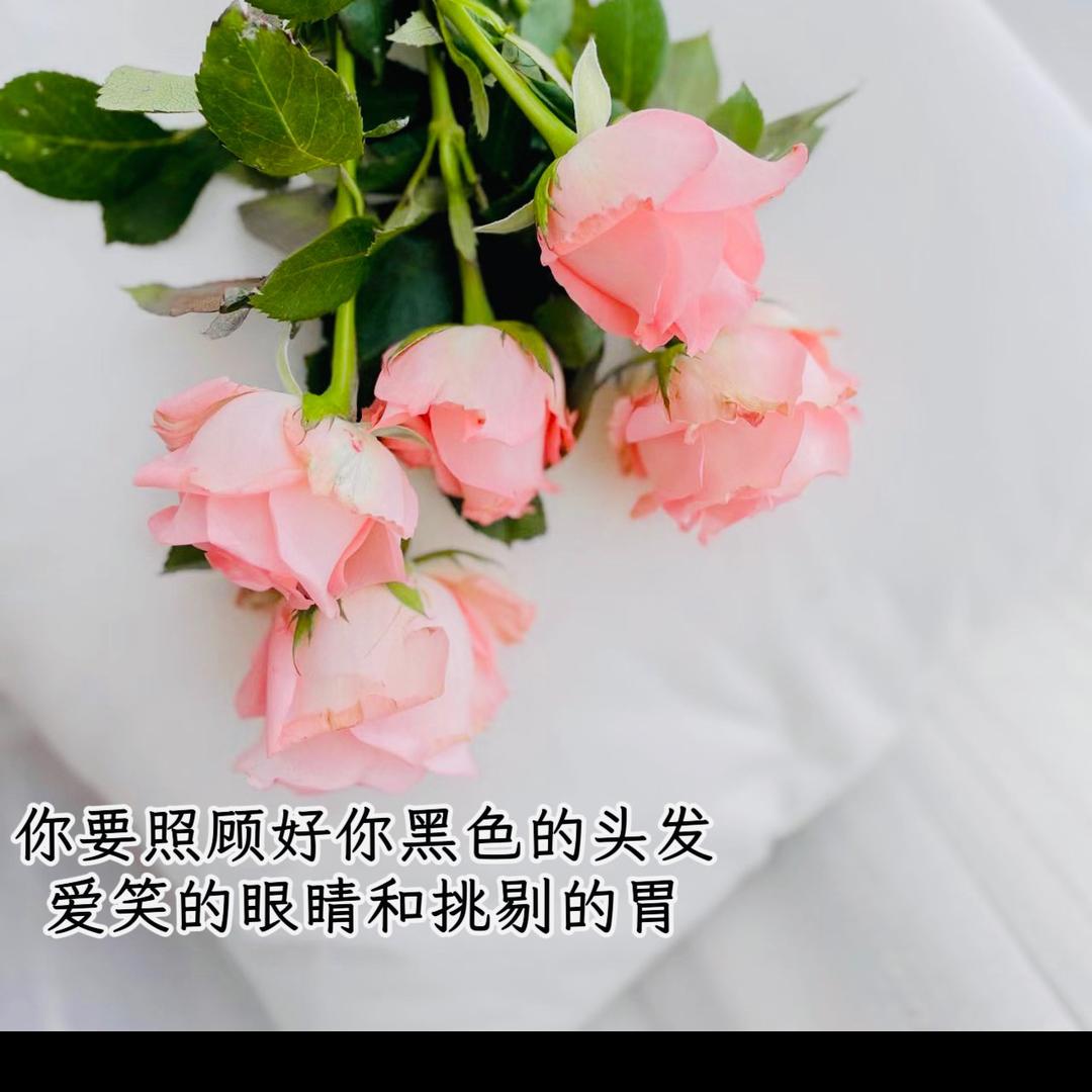 沁心文案