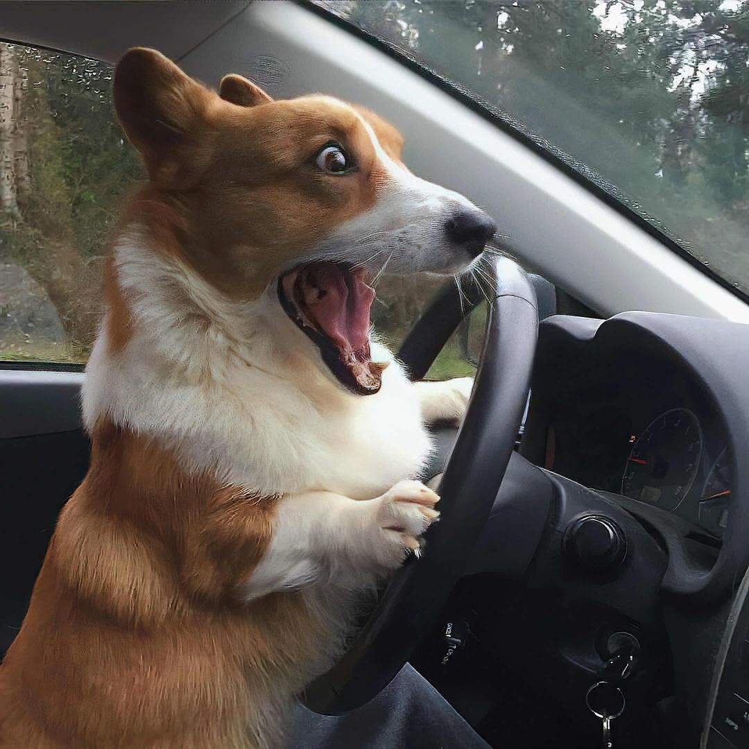 大大大辉’’  💨