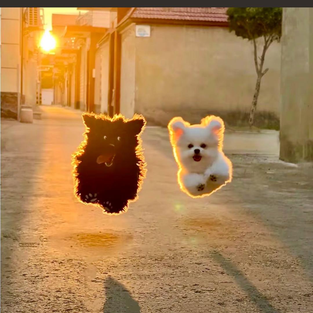 风🌬️吹麦浪滚滚