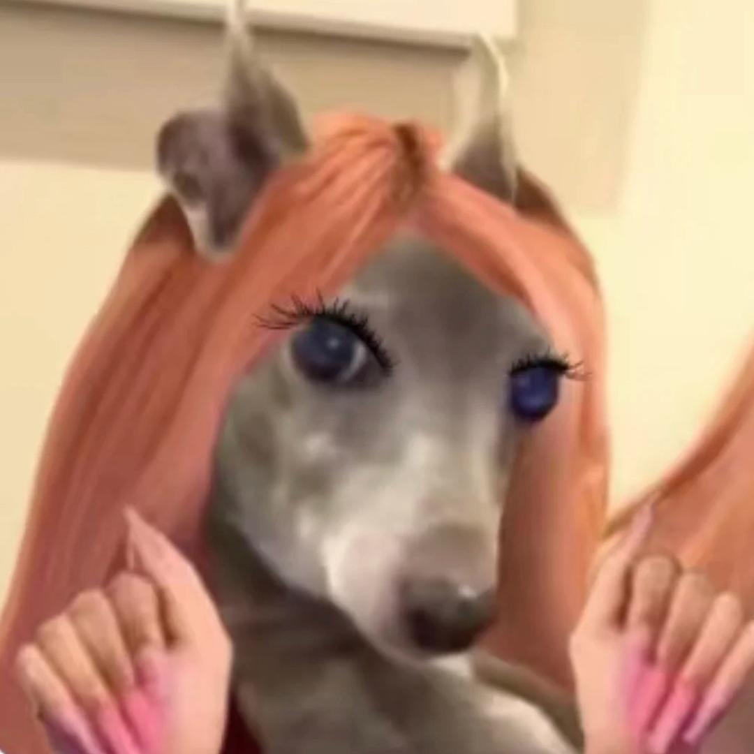 柒柒