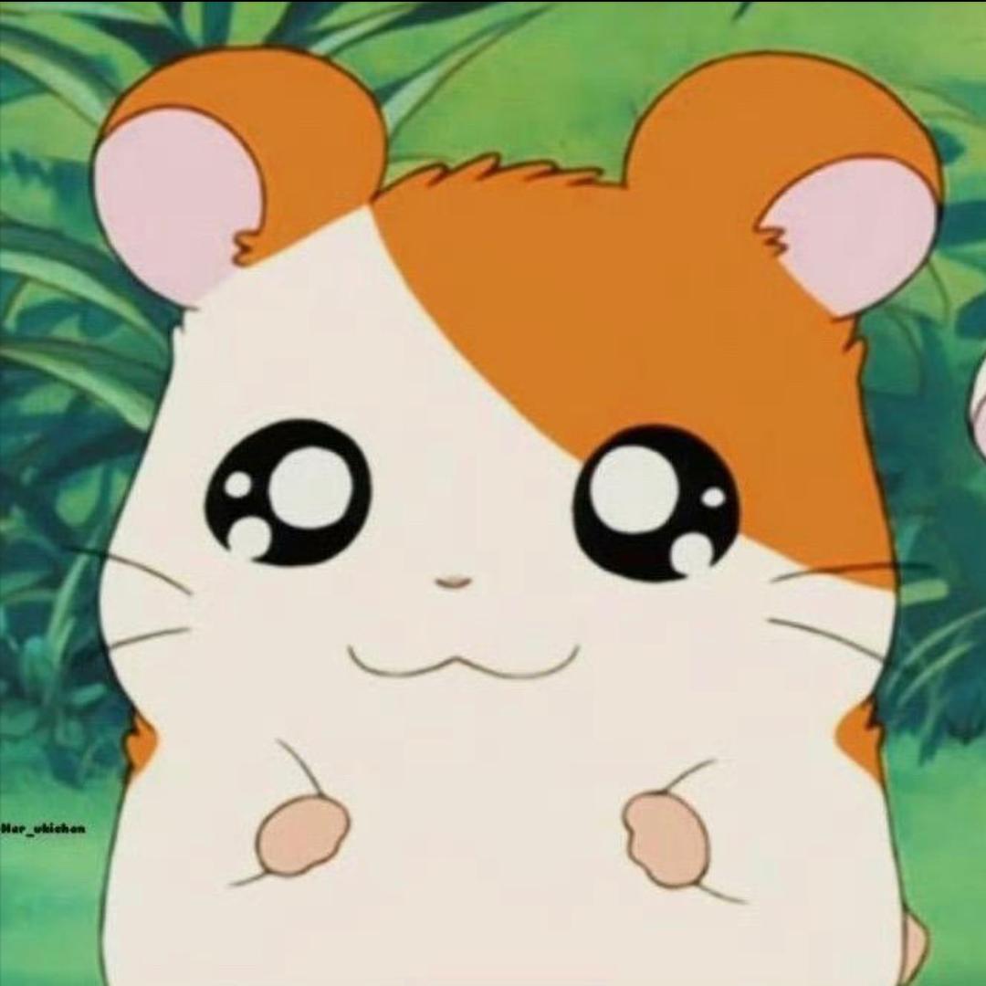 nuonuo