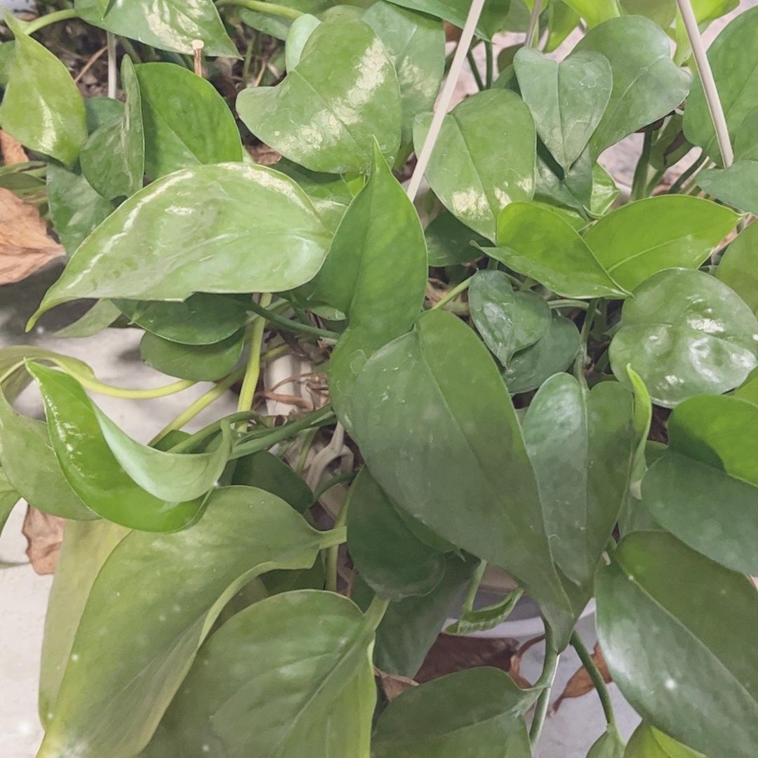 鑫兴百货