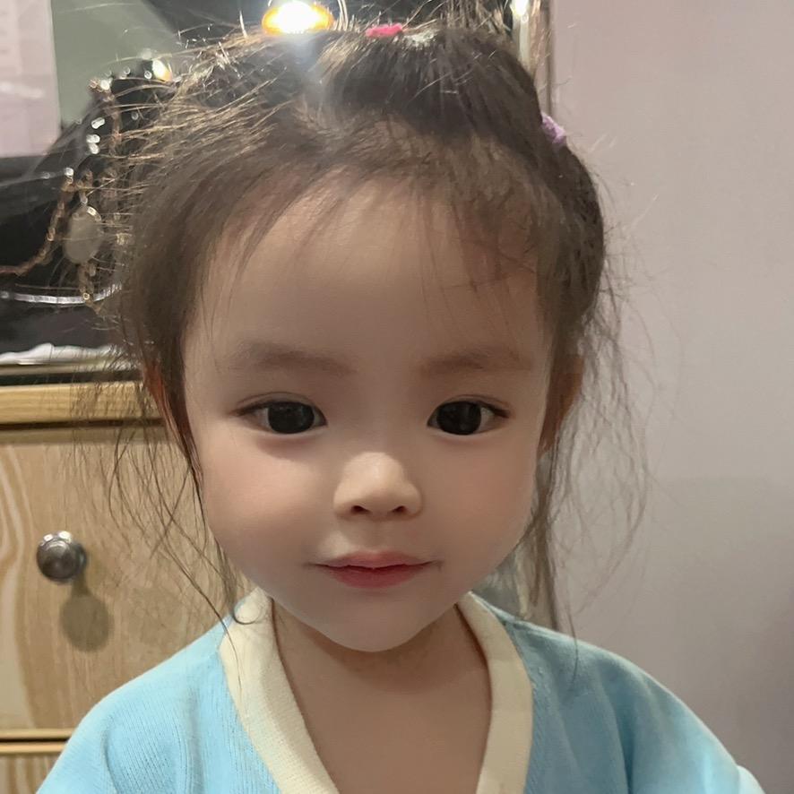 鸽子的生活（请勿连赞，谢谢🙏