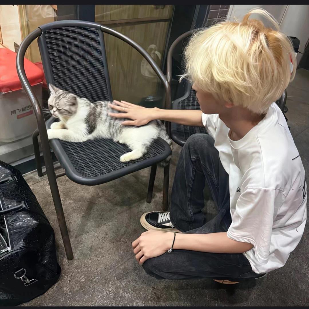 秋末的眼泪