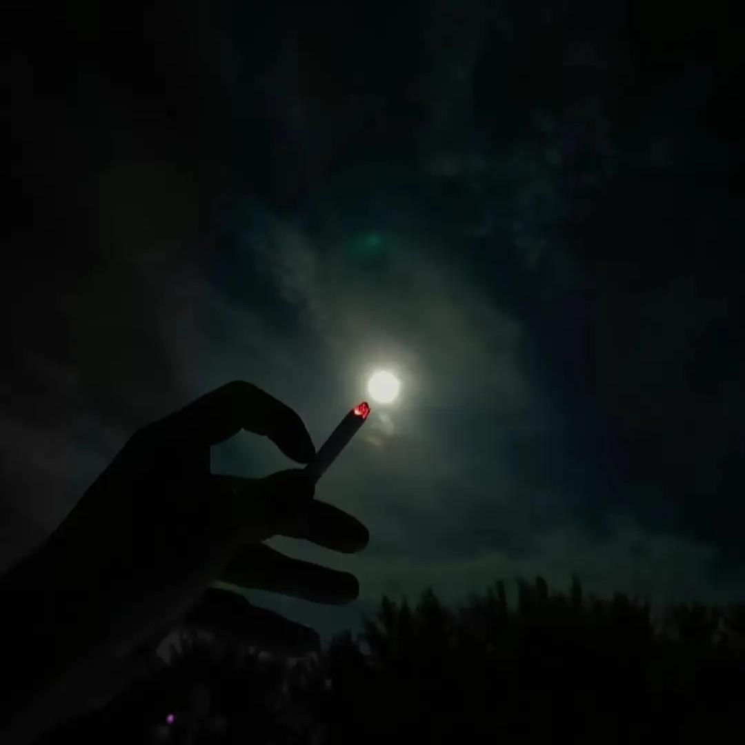 ～～～～傅钦（封票）～～～～