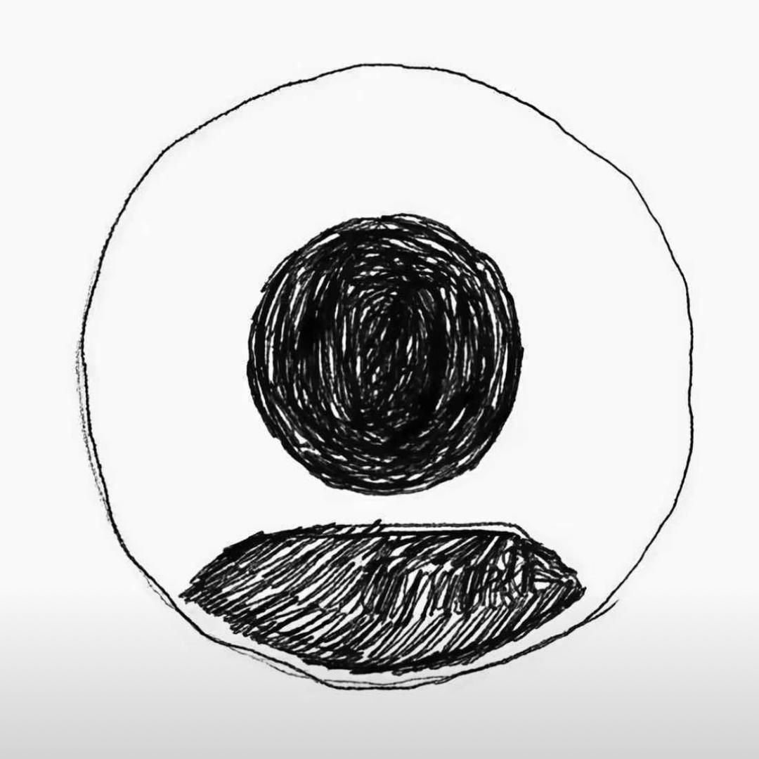 满池王八我命最长