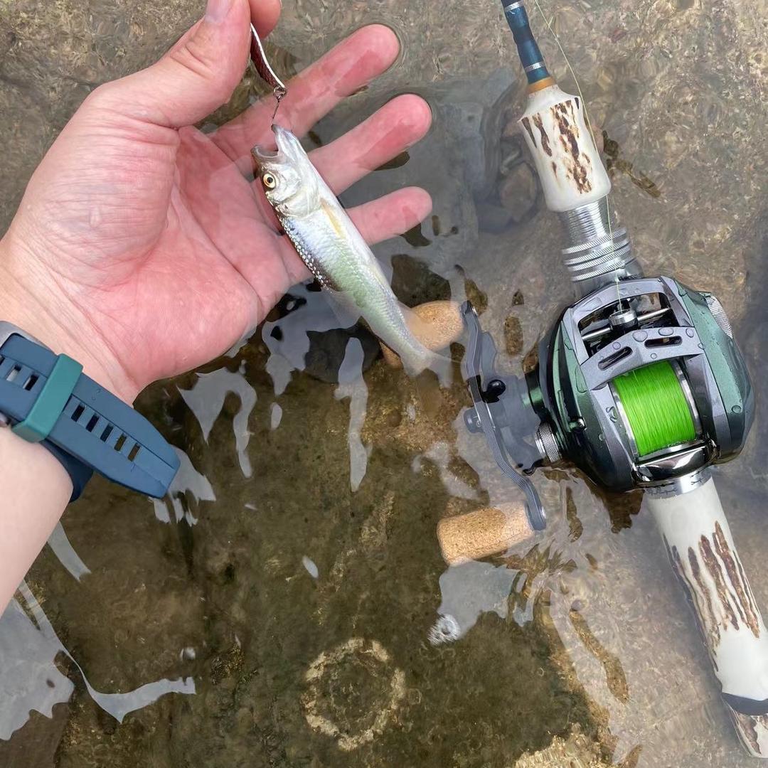 一格的生活日记