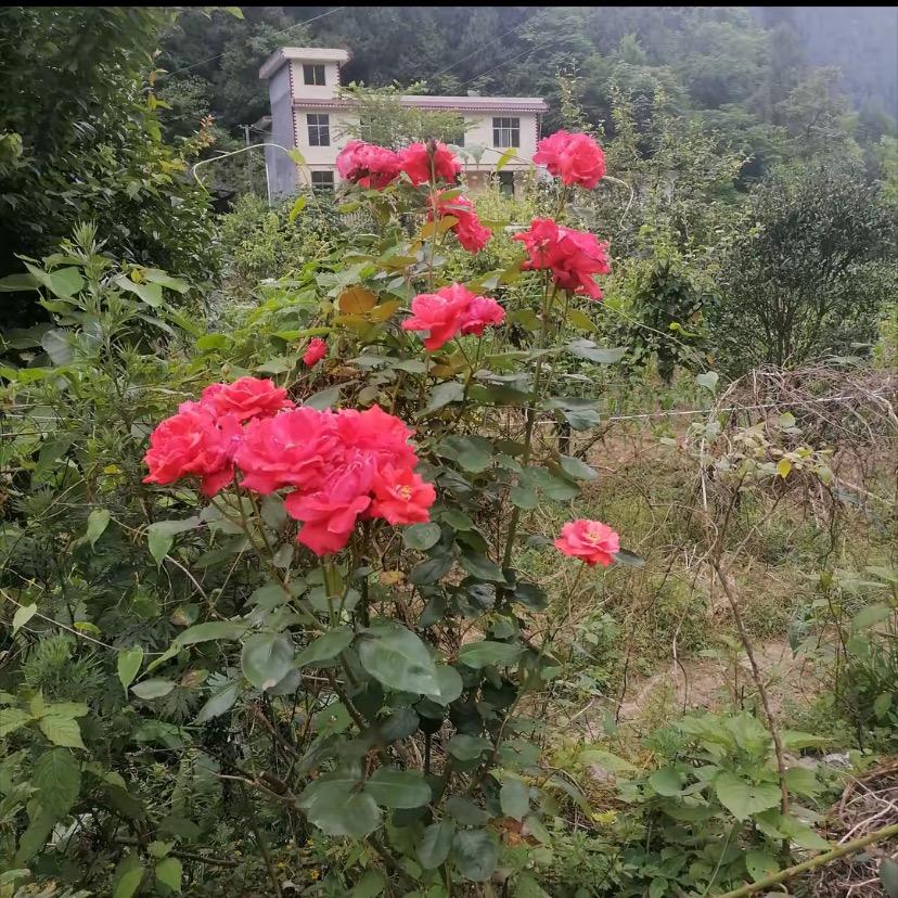 @小静@